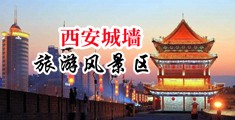 丈鸡巴操肏视频中国陕西-西安城墙旅游风景区